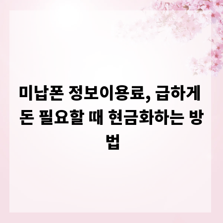 미납폰 정보이용료, 급하게 돈 필요할 때 현금화하는 방법