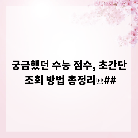 궁금했던 수능 점수, 초간단 조회 방법 총정리
##