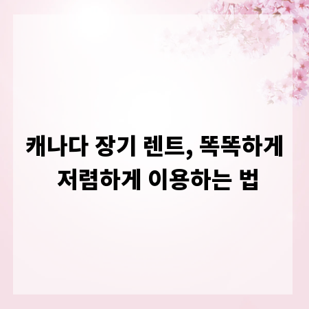 캐나다 장기 렌트, 똑똑하게 저렴하게 이용하는 법