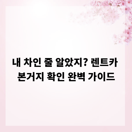 내 차인 줄 알았지? 렌트카 본거지 확인 완벽 가이드