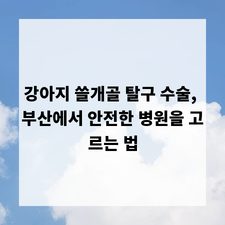 강아지 쓸개골 탈구 수술, 부산에서 안전한 병원을 고르는 법