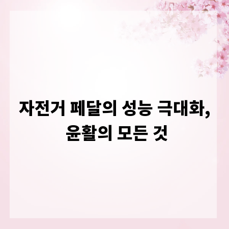 자전거 페달의 성능 극대화, 윤활의 모든 것