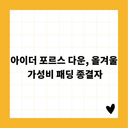 아이더 포르스 다운, 올겨울 가성비 패딩 종결자