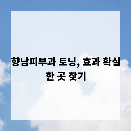 향남피부과 토닝, 효과 확실한 곳 찾기