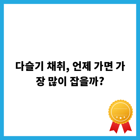 다슬기 채취, 언제 가면 가장 많이 잡을까?