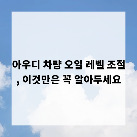 아우디 차량 오일 레벨 조절, 이것만은 꼭 알아두세요