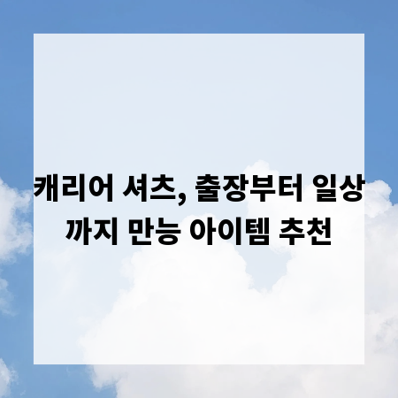 캐리어 셔츠, 출장부터 일상까지 만능 아이템 추천