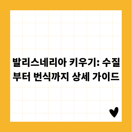 발리스네리아 키우기: 수질부터 번식까지 상세 가이드