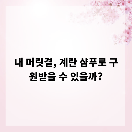 내 머릿결, 계란 샴푸로 구원받을 수 있을까?