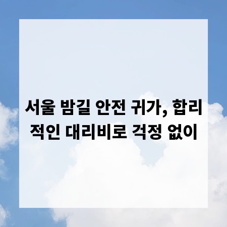 서울 밤길 안전 귀가, 합리적인 대리비로 걱정 없이
