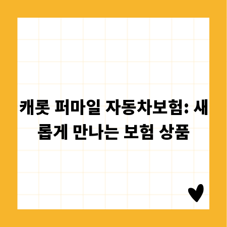 캐롯 퍼마일 자동차보험: 새롭게 만나는 보험 상품