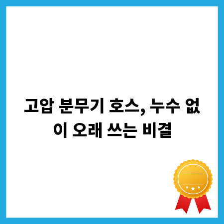 올리브영 편지지, 다이어리 꾸미기의 숨은 보석