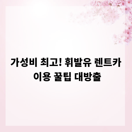가성비 최고! 휘발유 렌트카 이용 꿀팁 대방출