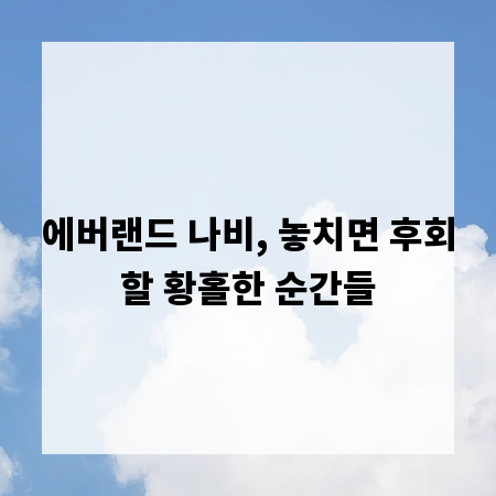 에버랜드 나비, 놓치면 후회할 황홀한 순간들