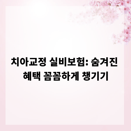 치아교정 실비보험: 숨겨진 혜택 꼼꼼하게 챙기기