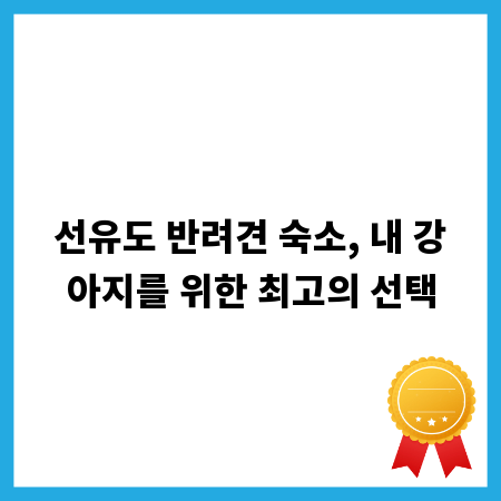 선유도 반려견 숙소, 내 강아지를 위한 최고의 선택