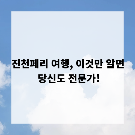 진천페리 여행, 이것만 알면 당신도 전문가!