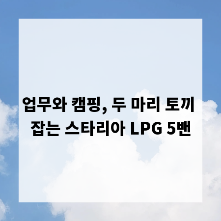 업무와 캠핑, 두 마리 토끼 잡는 스타리아 LPG 5밴