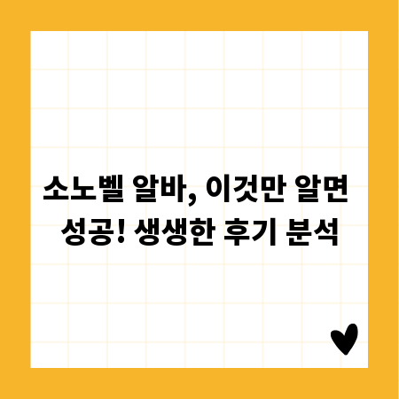 소노벨 알바, 이것만 알면 성공! 생생한 후기 분석