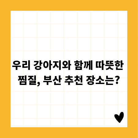 우리 강아지와 함께 따뜻한 찜질, 부산 추천 장소는?