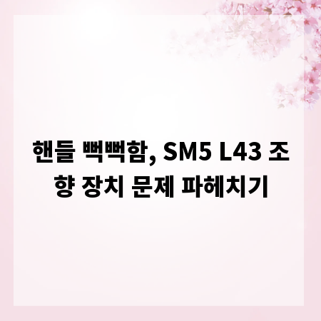 핸들 뻑뻑함, SM5 L43 조향 장치 문제 파헤치기