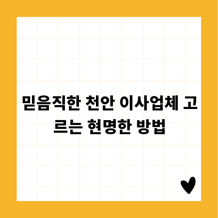 대전 시민 필수! 산호교통 최신 노선과 이용 꿀팁