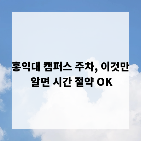 홍익대 캠퍼스 주차, 이것만 알면 시간 절약 OK