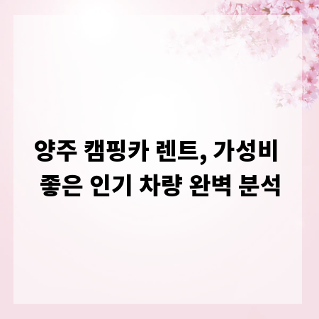 양주 캠핑카 렌트, 가성비 좋은 인기 차량 완벽 분석