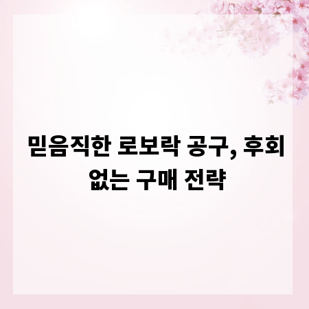 믿음직한 로보락 공구, 후회 없는 구매 전략