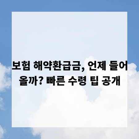 보험 해약환급금, 언제 들어올까? 빠른 수령 팁 공개