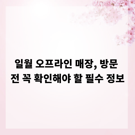 일월 오프라인 매장, 방문 전 꼭 확인해야 할 필수 정보