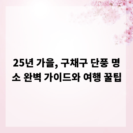 25년 가을, 구채구 단풍 명소 완벽 가이드와 여행 꿀팁