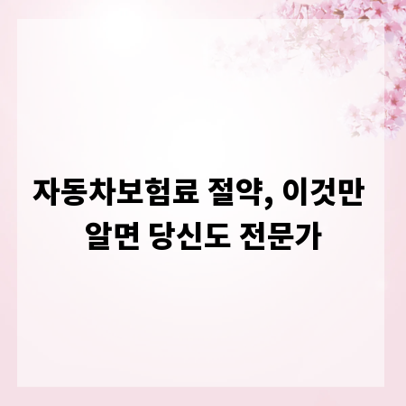 자동차보험료 절약, 이것만 알면 당신도 전문가