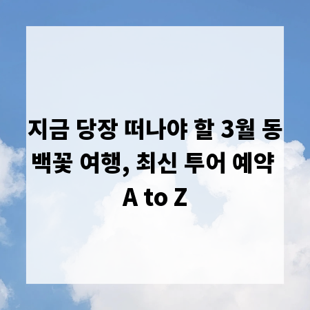 지금 당장 떠나야 할 3월 동백꽃 여행, 최신 투어 예약 A to Z