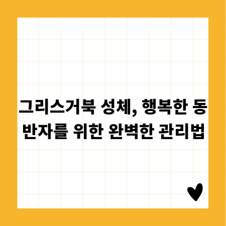 그리스거북 성체, 행복한 동반자를 위한 완벽한 관리법