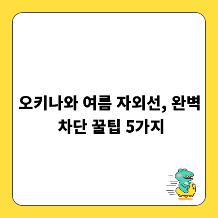 오키나와 여름 자외선, 완벽 차단 꿀팁 5가지