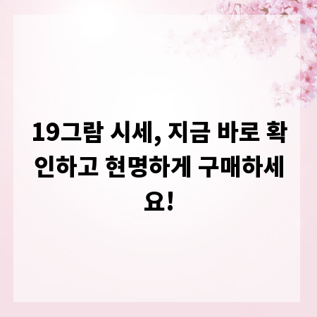 19그람 시세, 지금 바로 확인하고 현명하게 구매하세요!