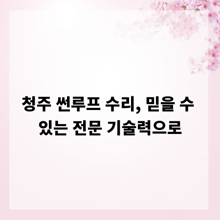 청주 썬루프 수리, 믿을 수 있는 전문 기술력으로