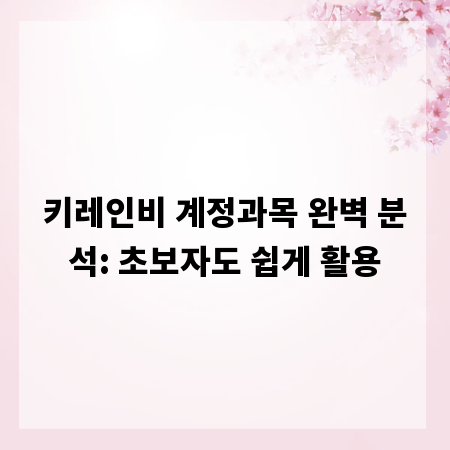 키레인비 계정과목 완벽 분석: 초보자도 쉽게 활용