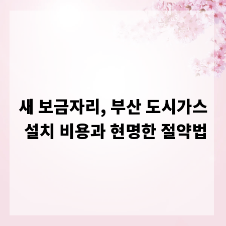 새 보금자리, 부산 도시가스 설치 비용과 현명한 절약법