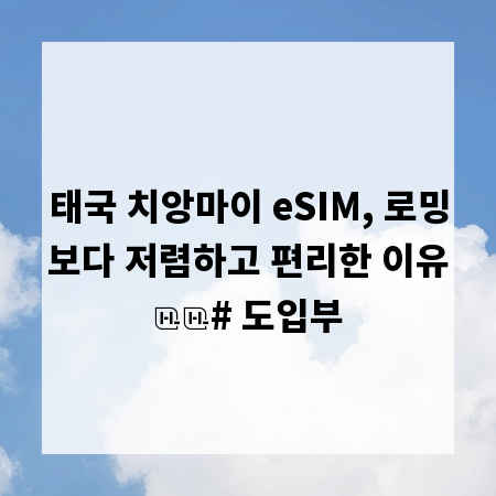 태국 치앙마이 eSIM, 로밍보다 저렴하고 편리한 이유

# 도입부