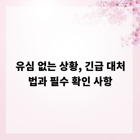 유심 없는 상황, 긴급 대처법과 필수 확인 사항