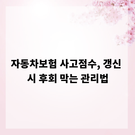 자동차보험 사고점수, 갱신 시 후회 막는 관리법