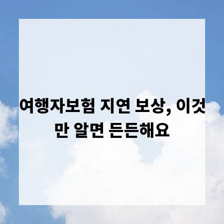 여행자보험 지연 보상, 이것만 알면 든든해요