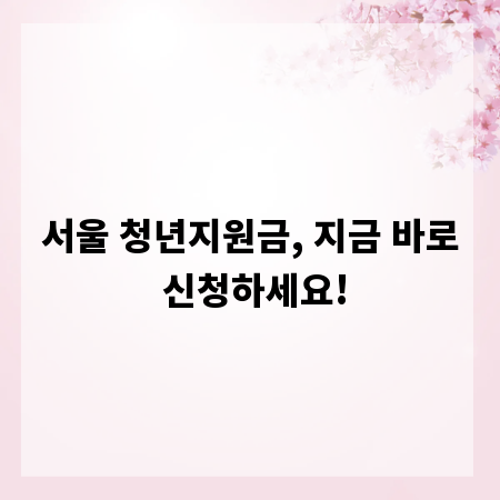 서울 청년지원금, 지금 바로 신청하세요!