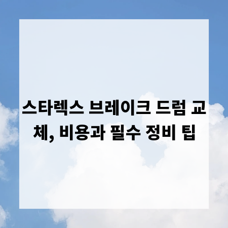스타렉스 브레이크 드럼 교체, 비용과 필수 정비 팁