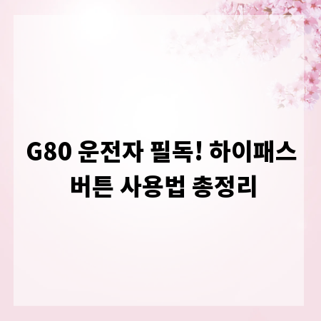 G80 운전자 필독! 하이패스 버튼 사용법 총정리