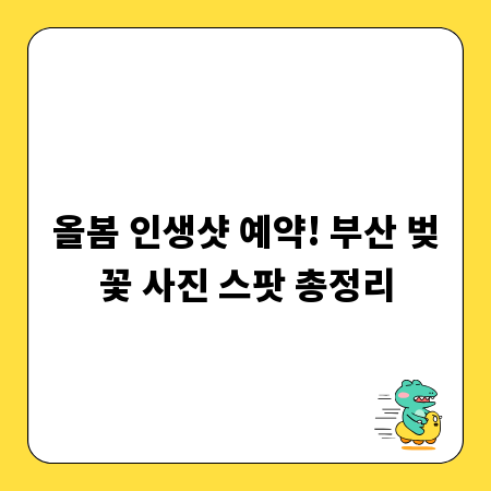 올봄 인생샷 예약! 부산 벚꽃 사진 스팟 총정리