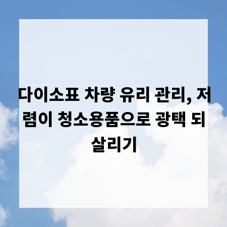 다이소표 차량 유리 관리, 저렴이 청소용품으로 광택 되살리기