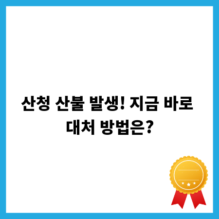산청 산불 발생! 지금 바로 대처 방법은?